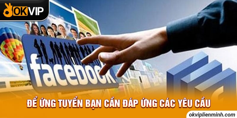 Để ứng tuyển bạn cần đáp ứng các yêu cầu