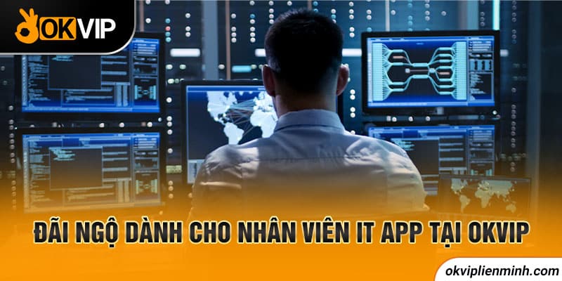 Đãi ngộ dành cho nhân viên IT APP tại OKVIP