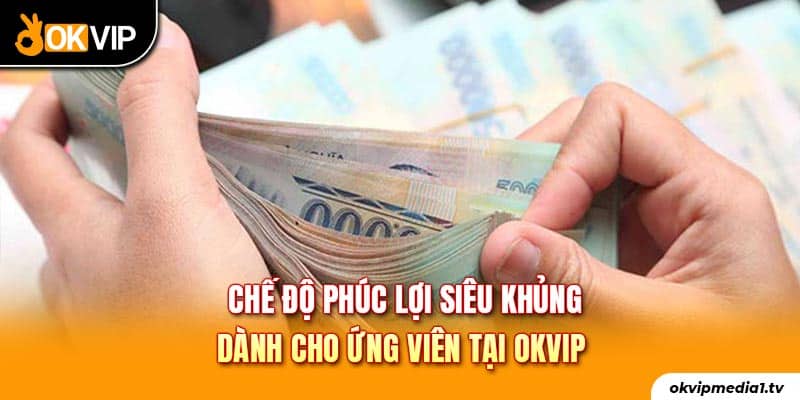 Chế độ phúc lợi siêu khủng dành cho ứng viên tại OKVIP