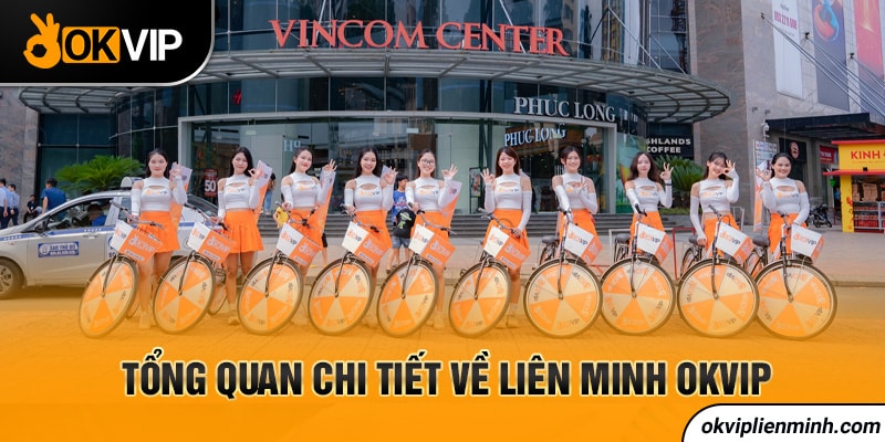 Tổng quan chi tiết về liên minh OKVIP